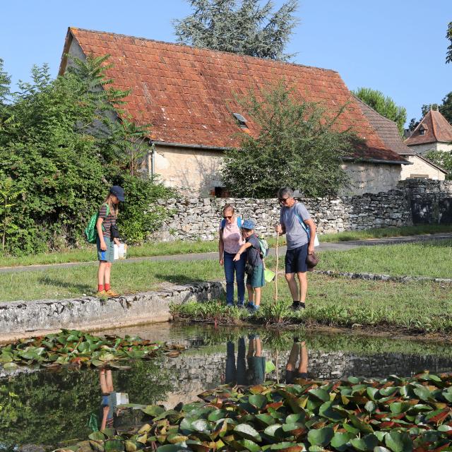 Randonnée sur le sentier de la brebis à Espédaillac