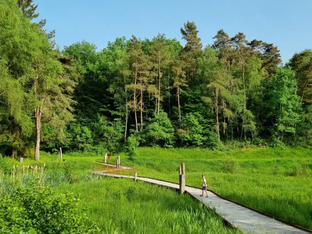 Circuit du Roc de France dans le Ségala àLatronquière