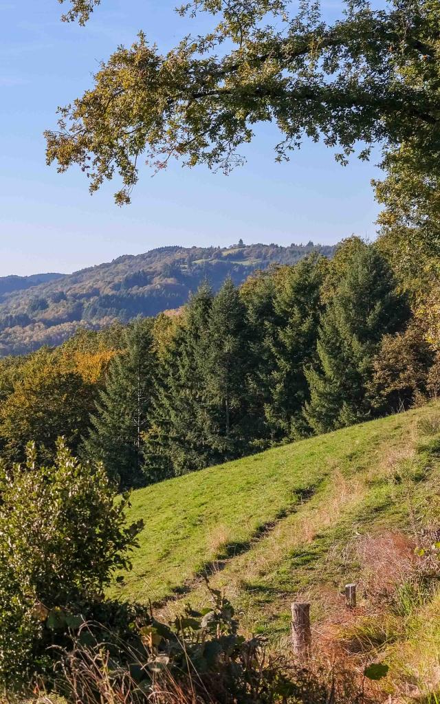 Collines et forêts du Ségala