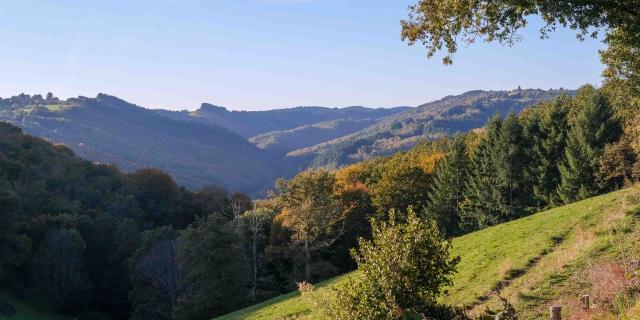 Collines et forêts du Ségala