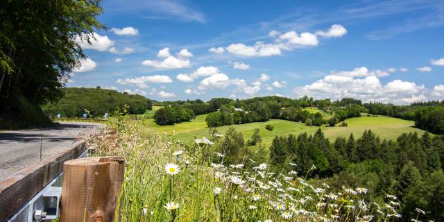 Paysage du Ségala