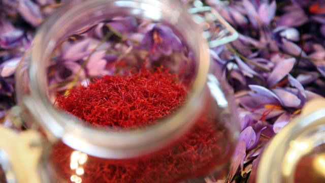 Saffron of Quercy