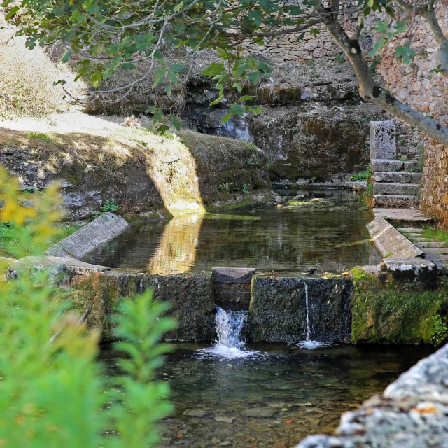 Corn © Jerome Morel