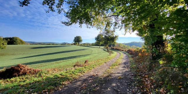 Chemin-de-rando-dans-le-Segala-Aude-Leconte-Lot-Tourisme-221105-094537.jpg