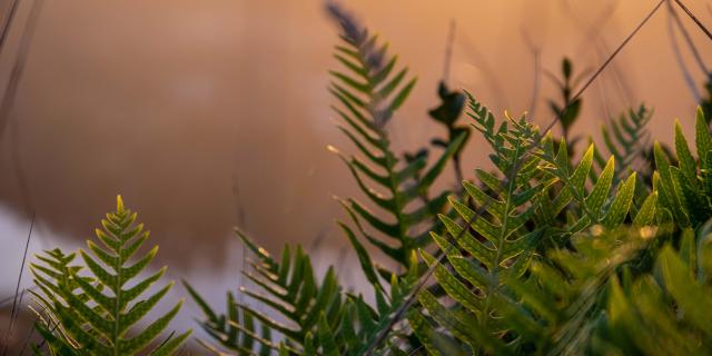 Dscf8058