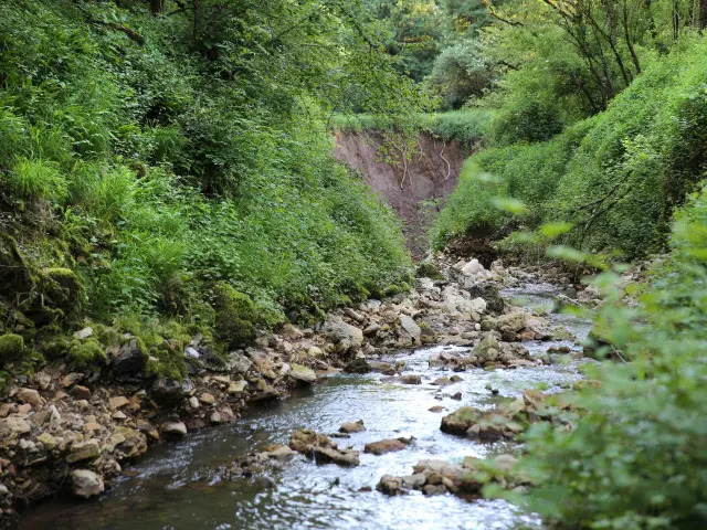 Nature et rivière à Thémines.