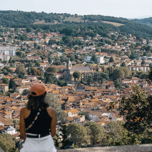 Magnifique vue sur la ville de Figeac