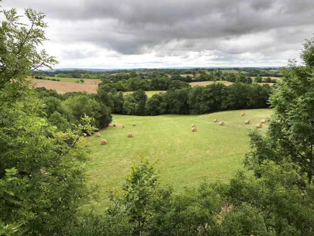 Vue sur un paysage typique du Limargue.