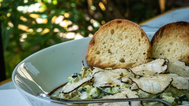 Assiette estivale de concombre, crème fraiche et truffe d'été au restaurant La Monnaie à Figeac.