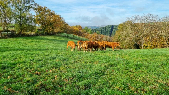 Paysages du Ségala