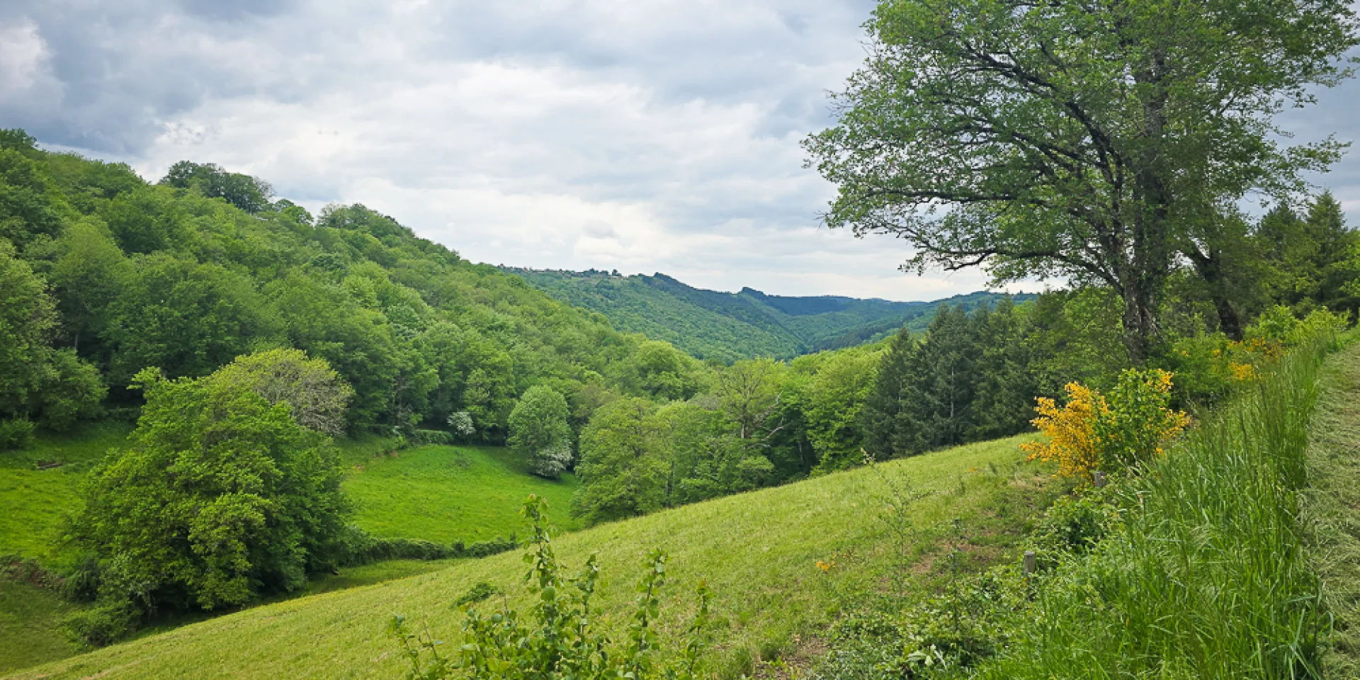 Vallons du Ségala à Linac