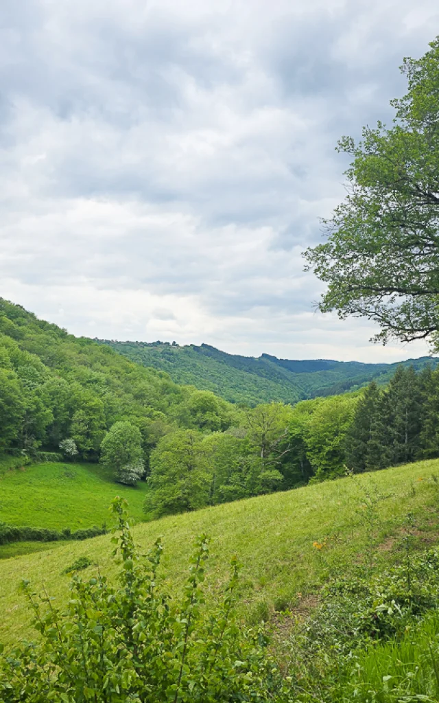 Vallons du Ségala à Linac
