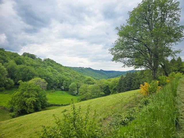 Vallons du Ségala à Linac