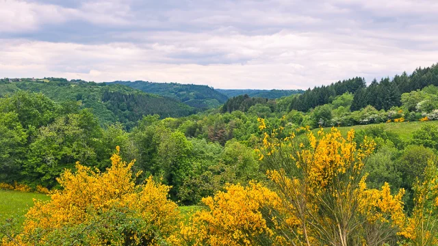 Paysages du Ségala
