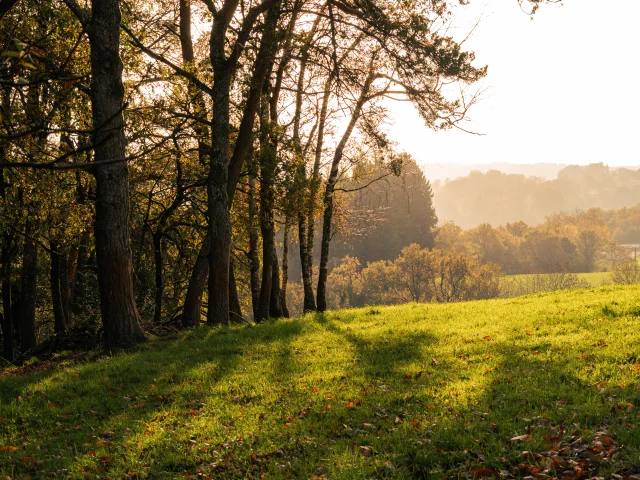 Paysage du Ségala