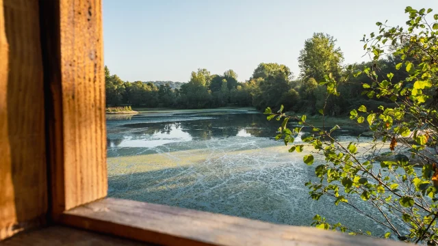 557776840 1369692255164870 2016426404003553750 N