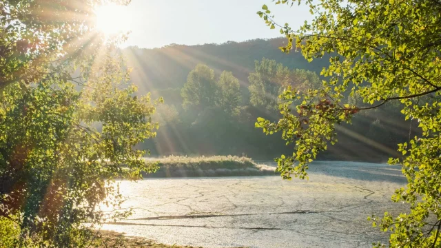 558061839 1369692378498191 8148430051748569328 N