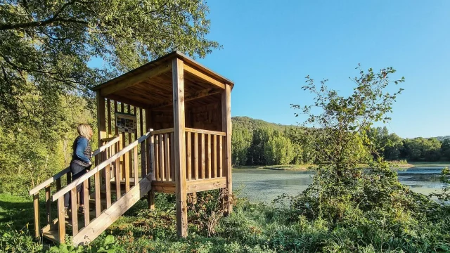 558072900 1369730631827699 1927558820868942287 N