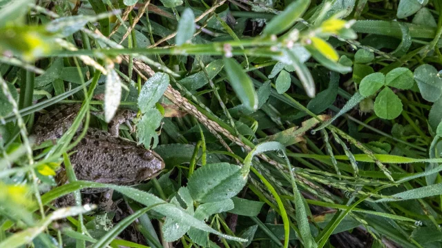 558231395 1369692575164838 5501895875201457757 N