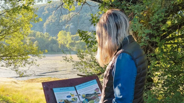 558499557 1369730595161036 4166710136002370279 N