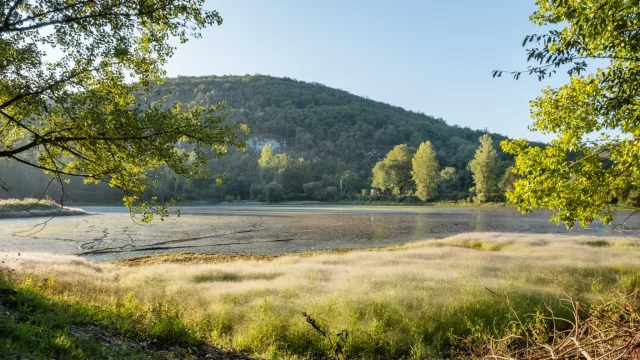 558943610 1369705165163579 4909022448763769328 N