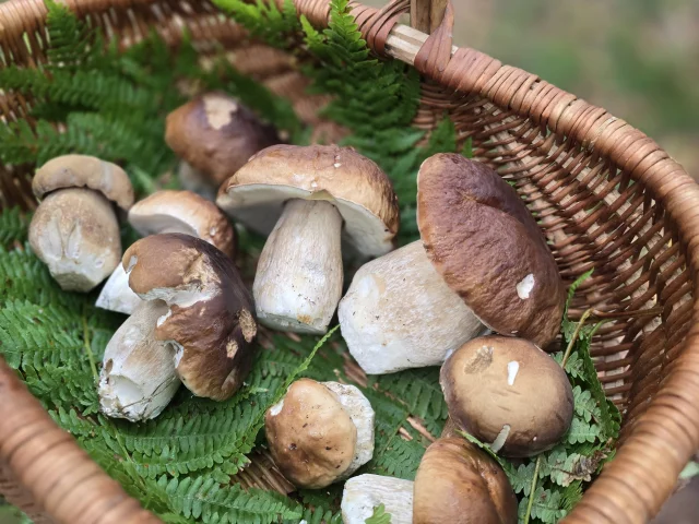 20240922 154706 Rotated