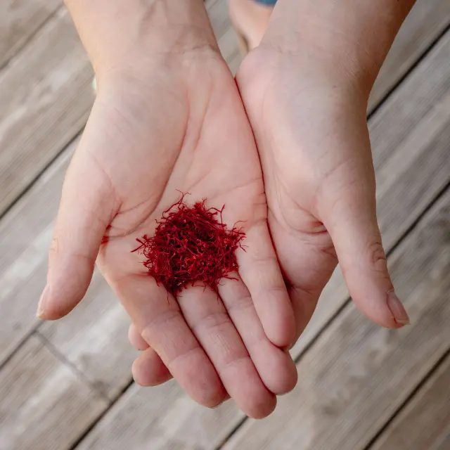 Terroir of the Lot