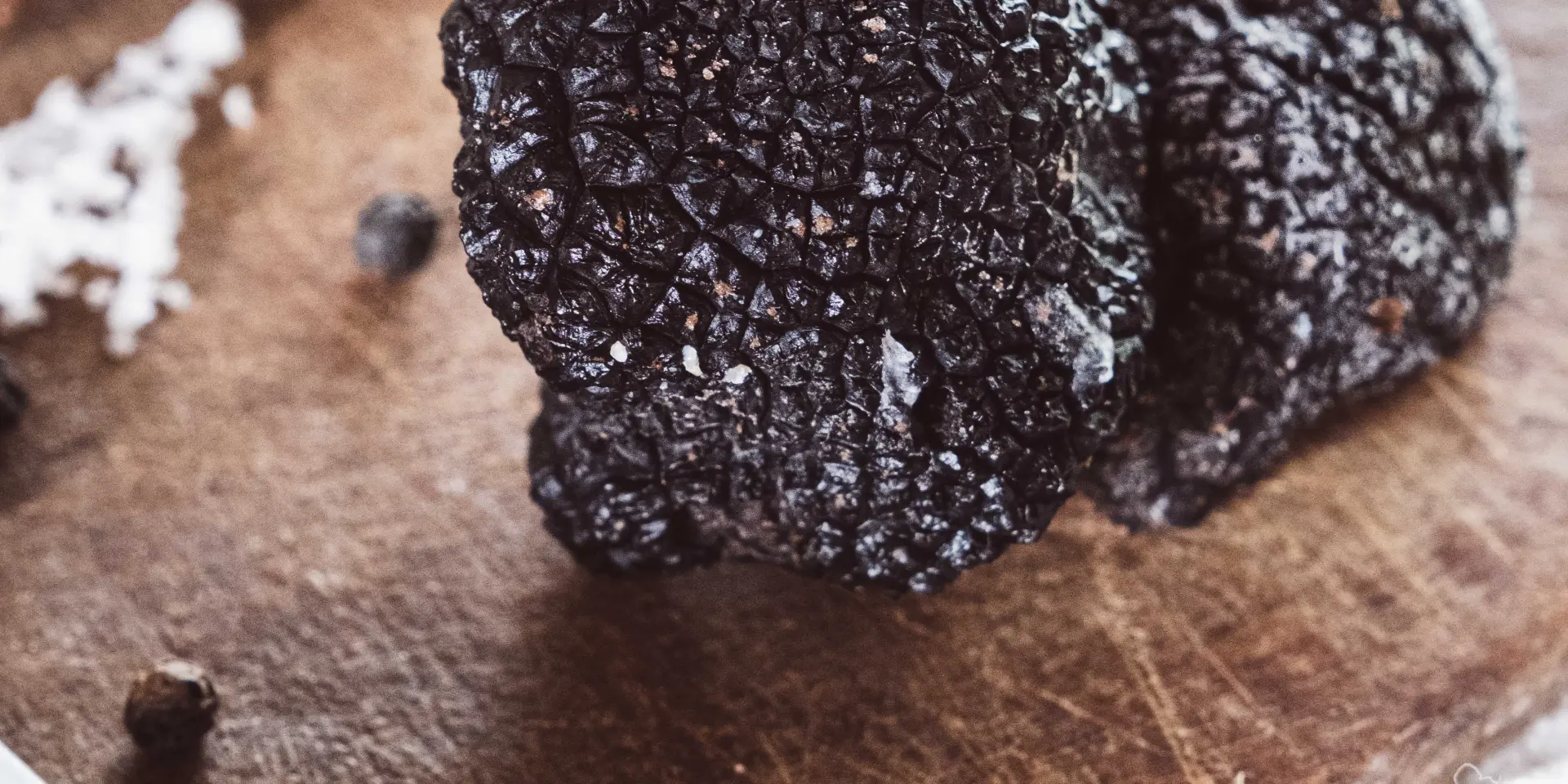 Truffe noire du Quercy