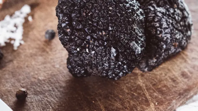 Truffe noire du Quercy