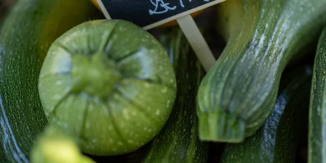 Marche De Cajarc Malika Turin 2419 Web