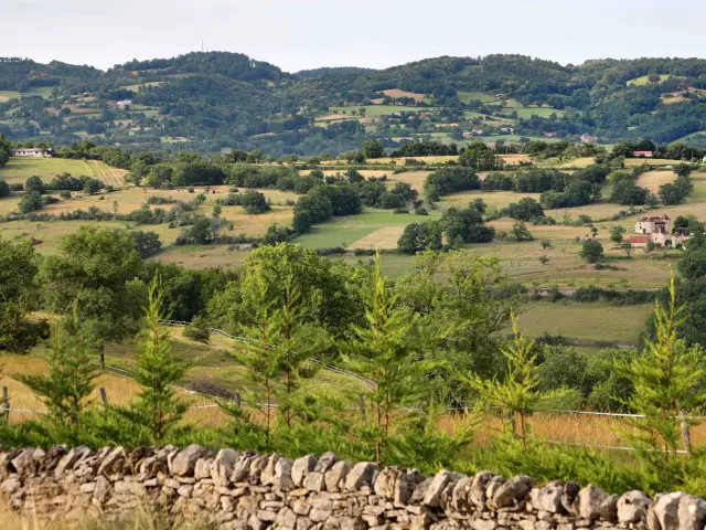 Fons E ® Jerome Morel Fk7a3175 2