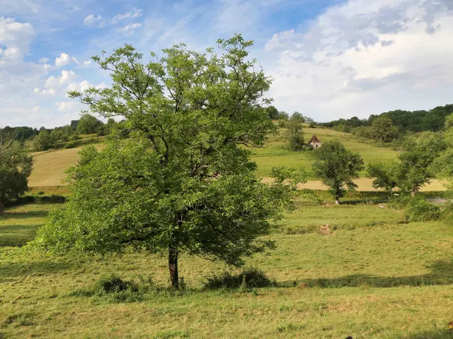 Fons E ® Jerome Morel Fk7a3177