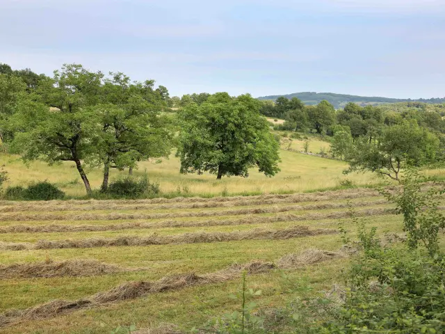 Fons E ® Jerome Morel Fk7a3180 1