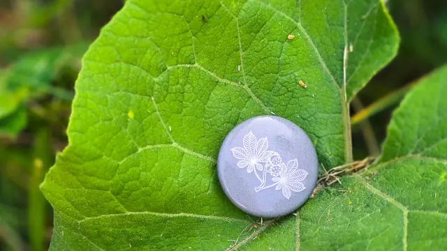 Badge des explorateurs, une carte un village