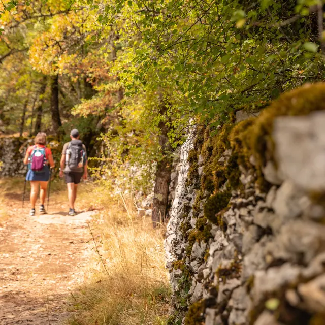 Sur le chemin de Saint-Jacques par le GR6