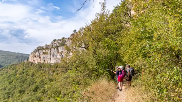 Hike along the GR651 – the Brengues hills