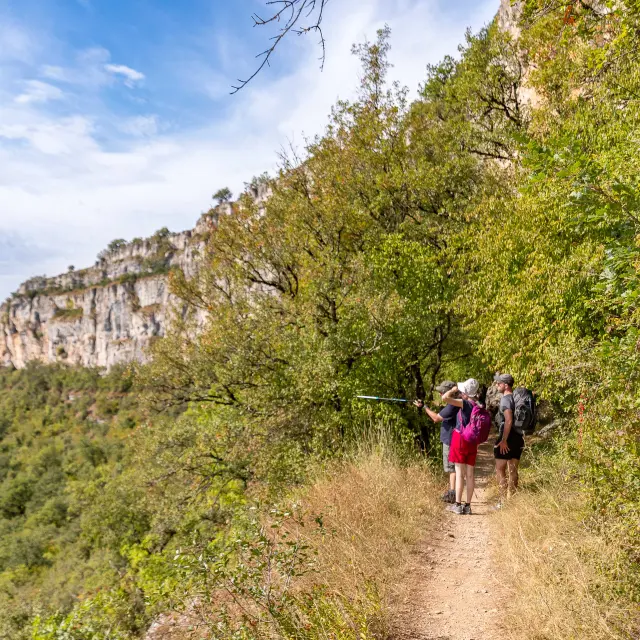 Hike along the GR651 – the Brengues hills