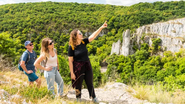 Vue depuis la Combe Lavaux - Route des Grands Crus de Bourgogne
