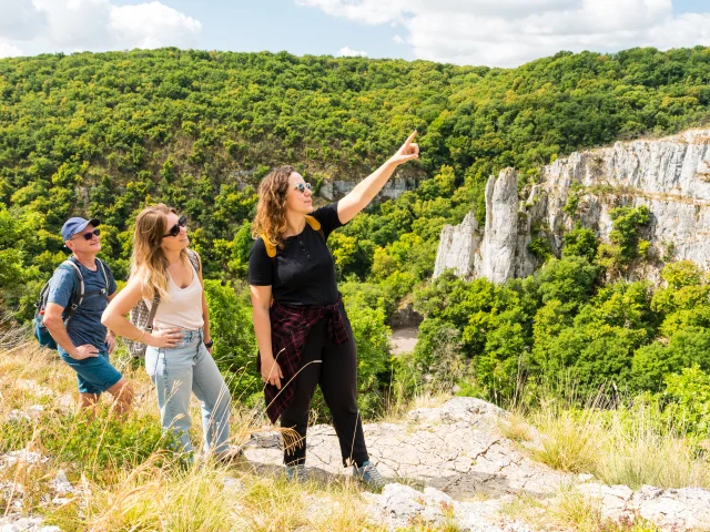 Vue depuis la Combe Lavaux - Route des Grands Crus de Bourgogne