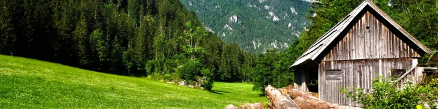 Addon Starter Image 8