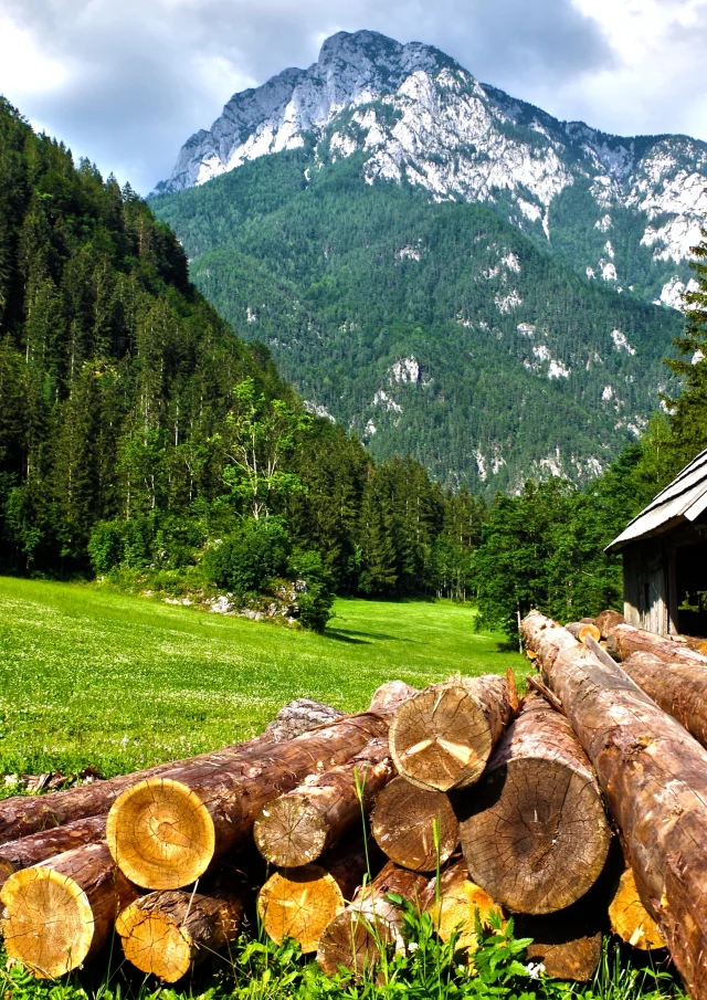 Addon Starter Image 8