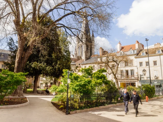 Dijon - Route des Grands Crus de Bourgogne