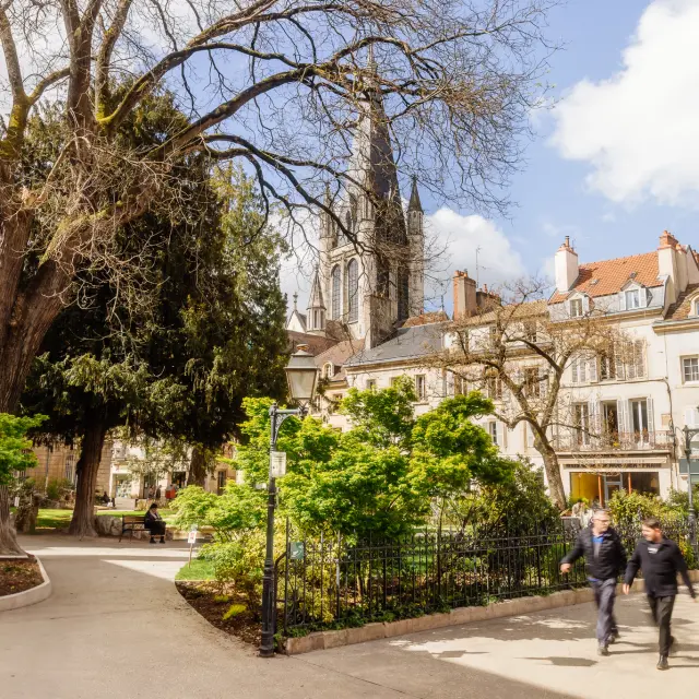 Dijon - Route des Grands Crus de Bourgogne