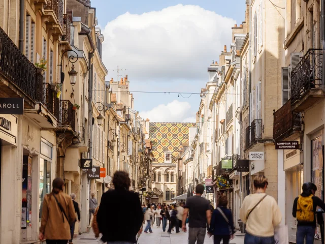 Dijon - Route des Grands Crus de Bourgogne