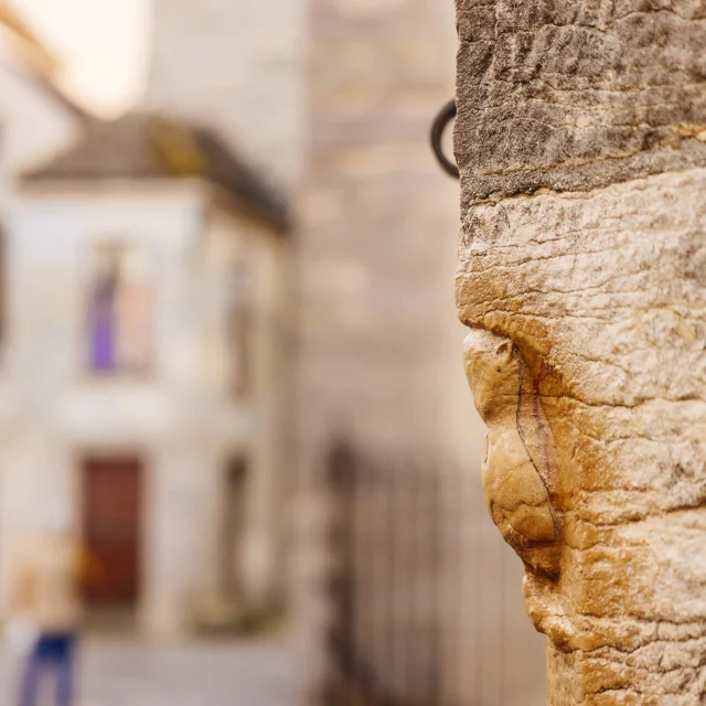 Chouette de Dijon - Route de Grands Crus de Bourgogne