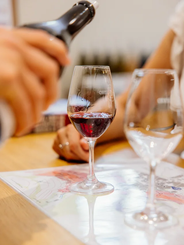 Dégustation de vin au Domaine Gavignet à Nuits-Saint-Georges - Route des Grands Crus de Bourgogne