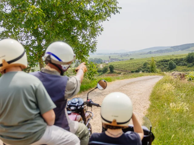 Side Car sur la Route des Grands Crus de Bourgogne