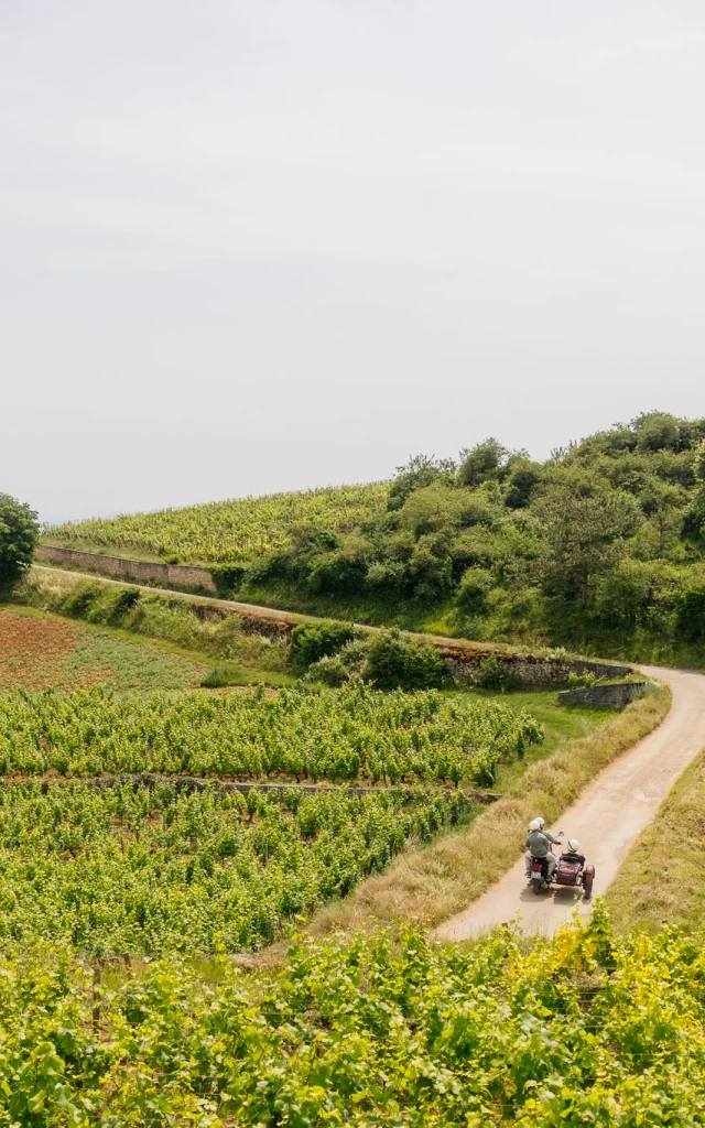 Side Car sur la Route des Grands Crus de Bourgogne