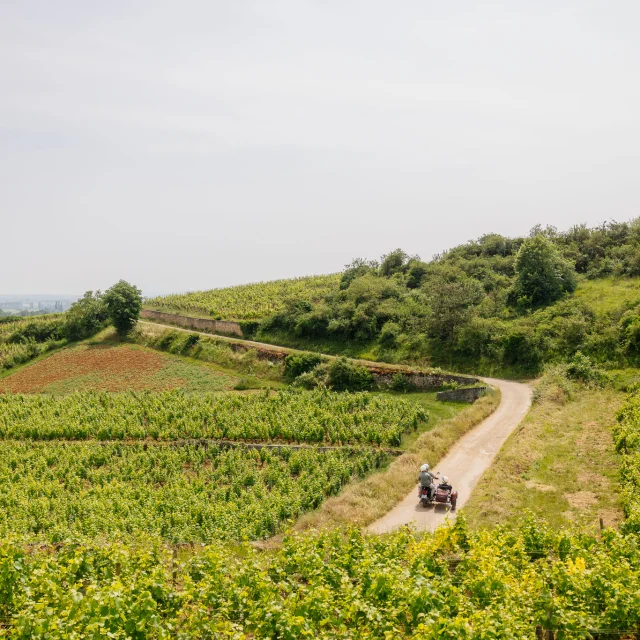 Side Car sur la Route des Grands Crus de Bourgogne