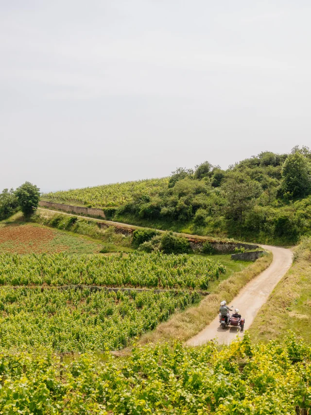 Side Car sur la Route des Grands Crus de Bourgogne